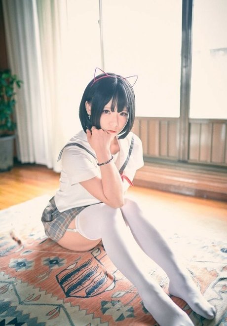 Maruemon model adult archive