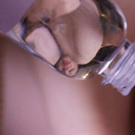 goddessfendi xxx star galleries