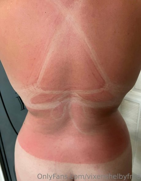 vixenshelbyfree nice pornstar galleries