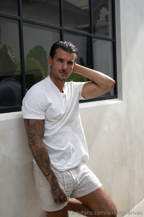 Antonycanvas pornstar erotic images