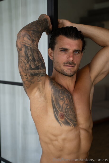 Antonycanvas nudes star archive