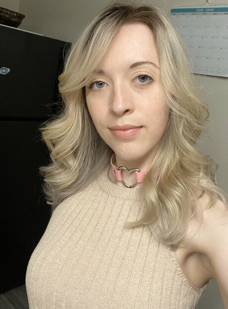 Pjonk model art image