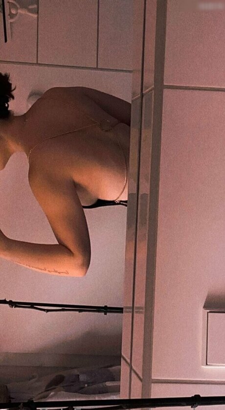 samybwz art star pictures