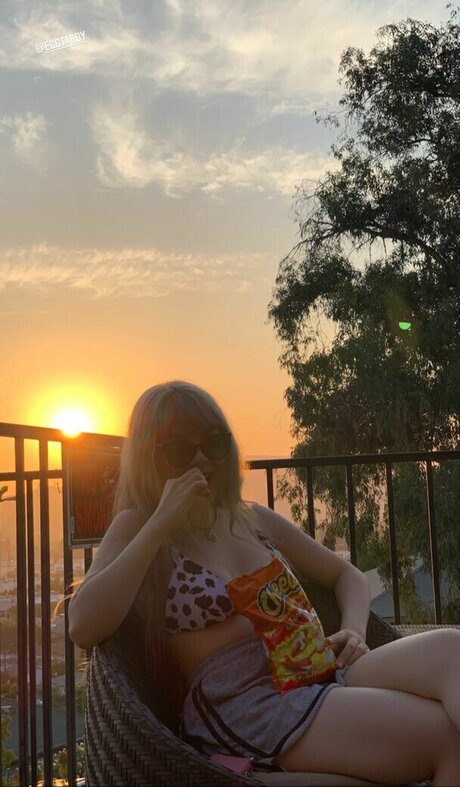 eggtardy star exclusive gallery