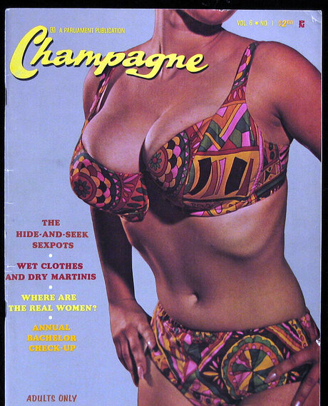 Classic Porn Magazines model hot pictures