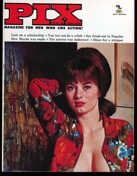 Classic Porn Magazines sexy pornstar picture