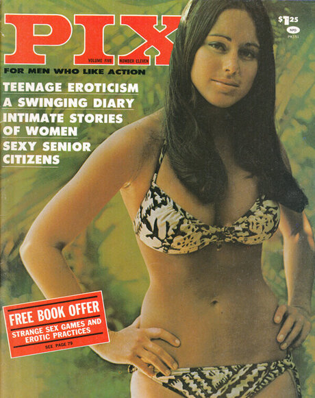 Classic Porn Magazines pornstar art photos