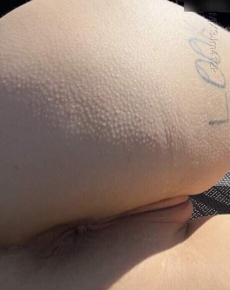 Whylellox nudes pornstar galleries