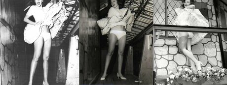 Vintage Sexy Celebs model nudes gallery