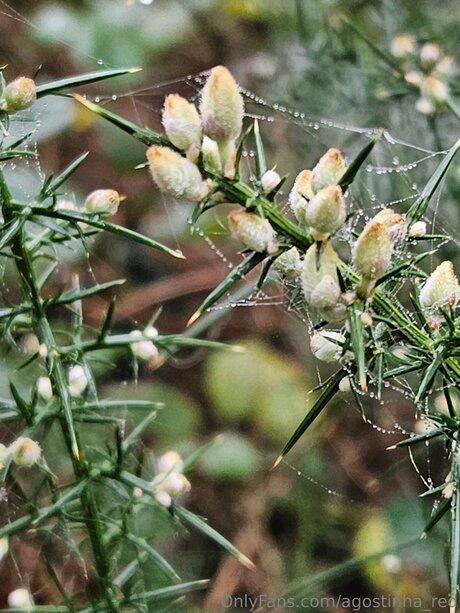 daddy princess onlyfans sexy nude gallery