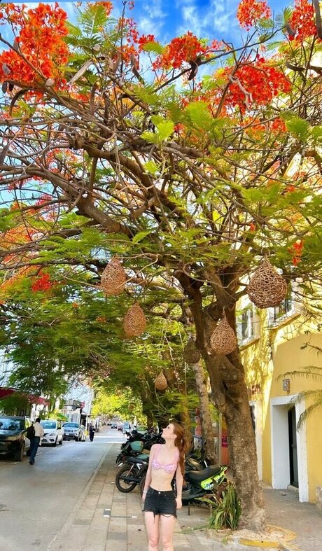 Giulia Bruno erotic actress galleries