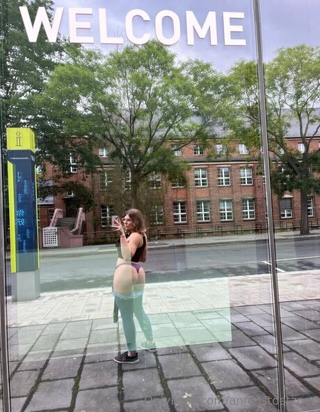 Anne St tzner star top pic