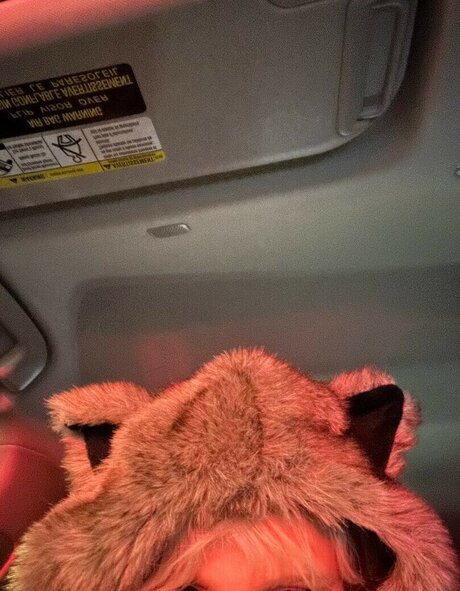 Katycarnegie pornstar exclusive galleries