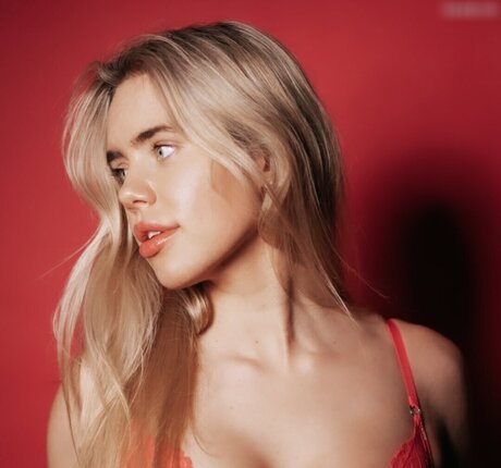 hollaura perfect star img