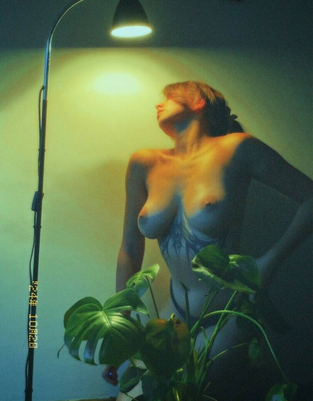 yulkachash pornographic star pics