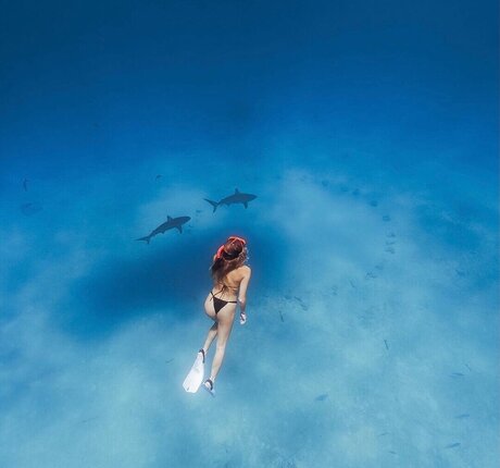 BrieWallz actress pics