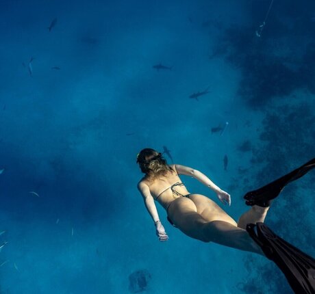 BrieWallz erotic star pic