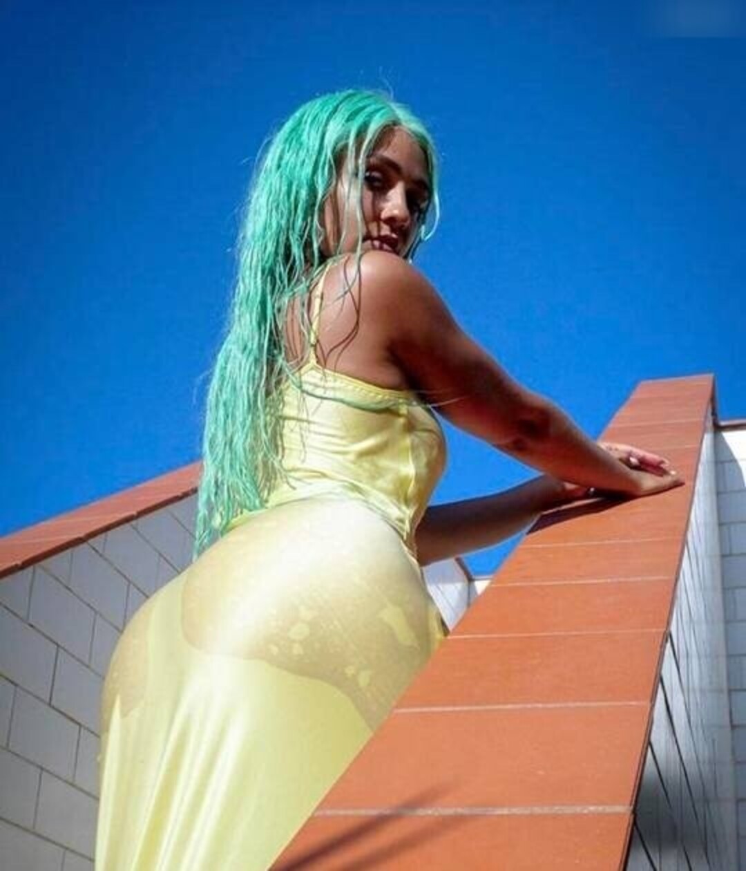 Regina Hixt nude pornstar archive