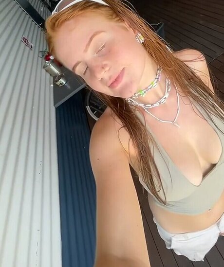 gringerliner model exclusive image