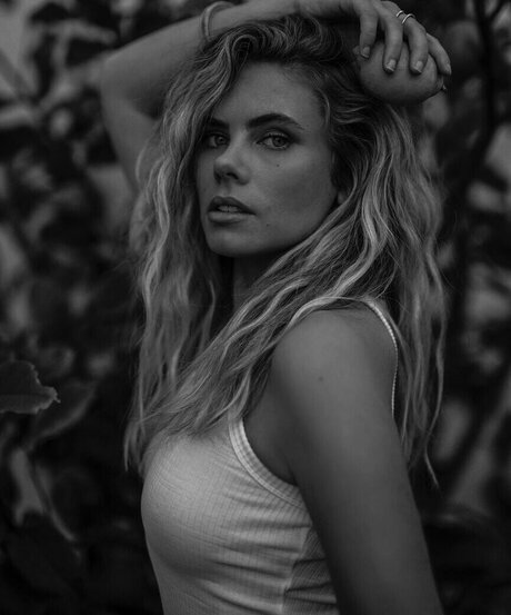 Peyton Cole nice star galleries