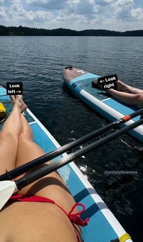 Cerise Taylor star art picture