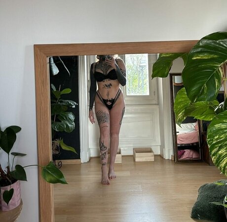 divinement bon hd star pics