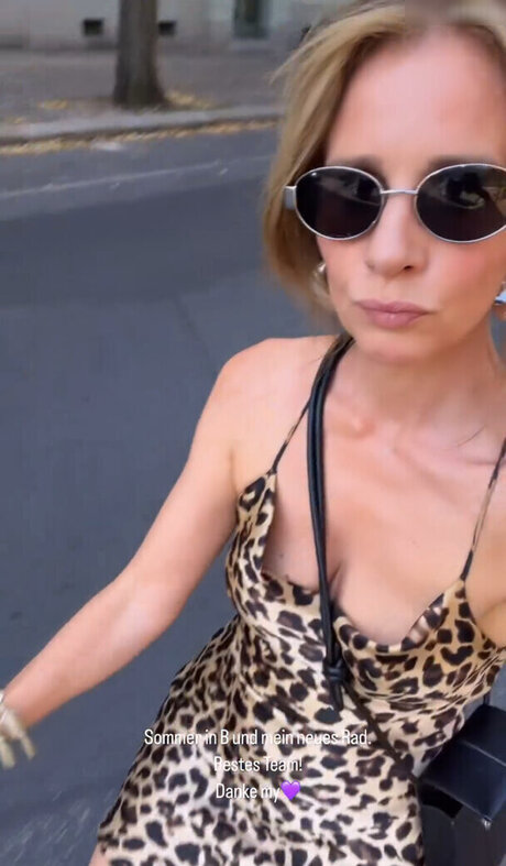 Mareile H ppner free actress photo