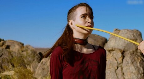 DomTheNation model best img