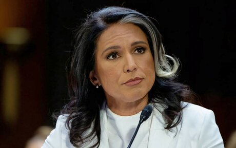 Tulsi Gabbard perfect actress images