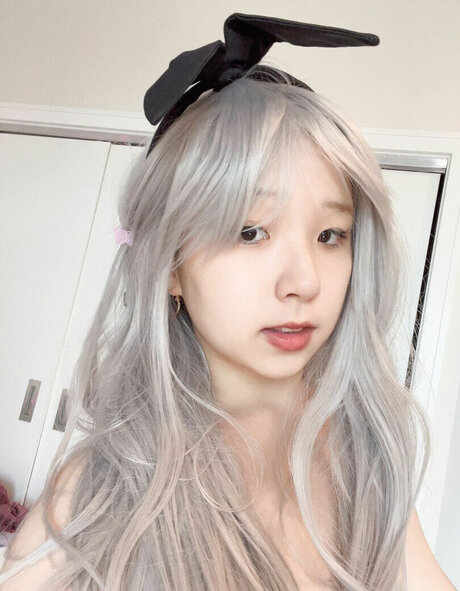 everythingoes1 model top image