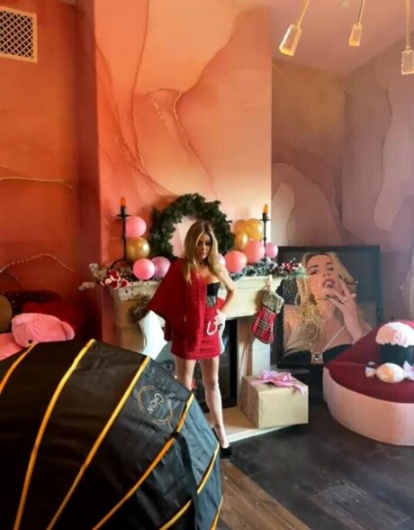 Denise Richards pornographic model photo