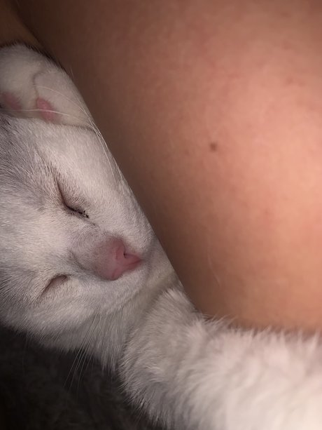 Gbby star perfect images