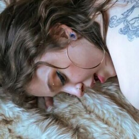 xsunsub star high quality images