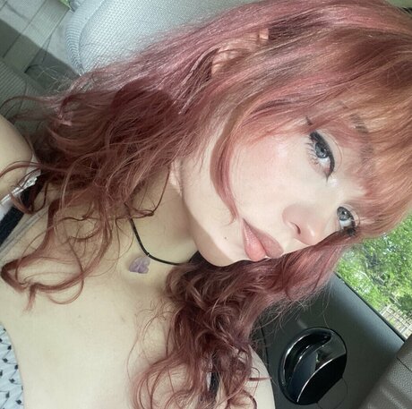 ivyhustlin free pornstar archive