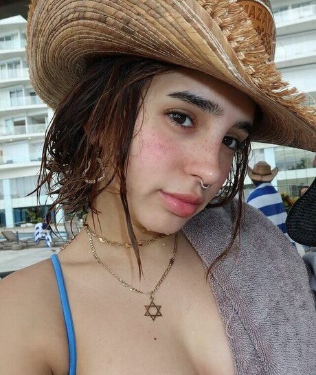 Domelipa art star images