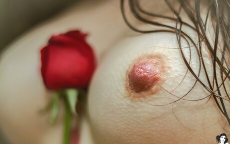 Dinhasun model high quality image