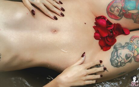 discord xxx onlyfans adult pic