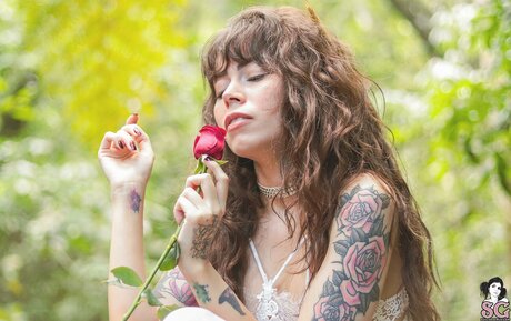 Dinhasun model exclusive img