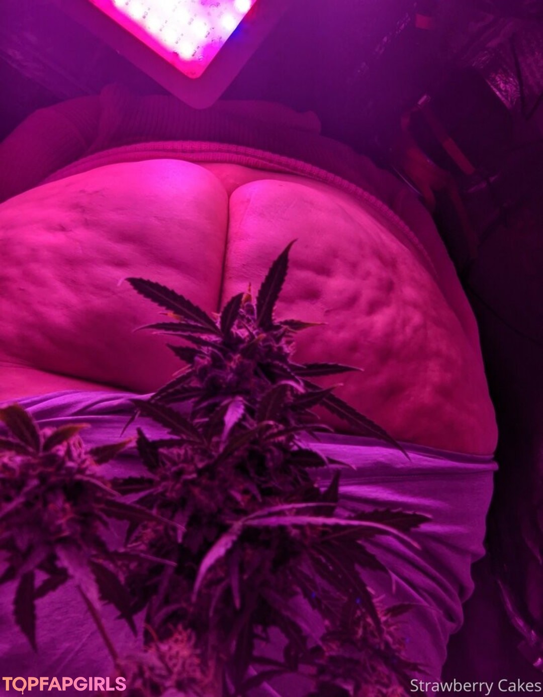 strawberry cakes porn model galleries
