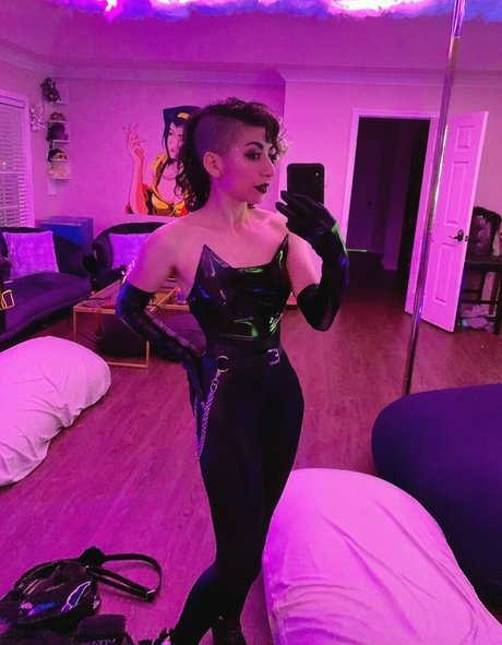 SailorTabbyCat star nice gallery