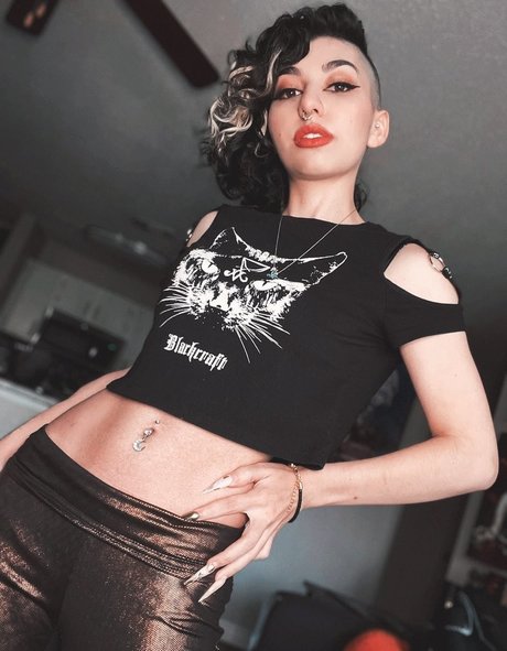 SailorTabbyCat art actress archive