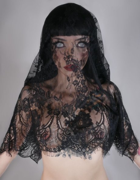 Owlicats star perfect images