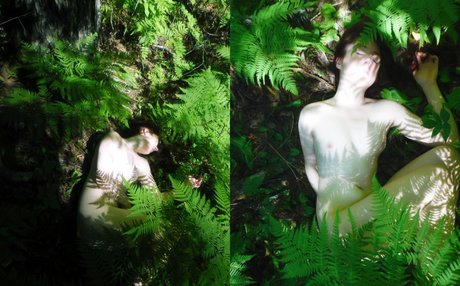 sexyshreksy pornstar erotic archive