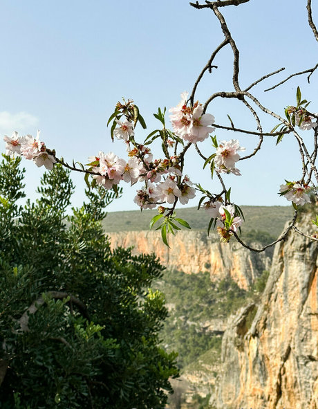 brazilian ass onlyfans free naked gallery