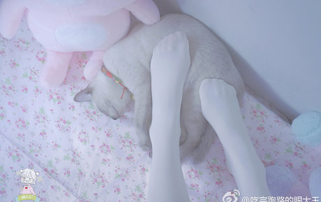 dark skin ebony onlyfans beautiful porn pics