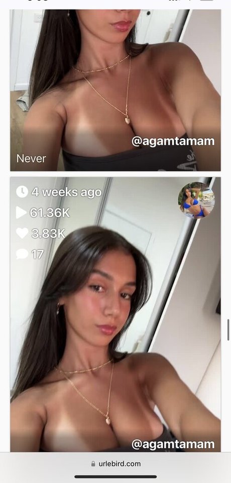 agam tamam pornstar art galleries