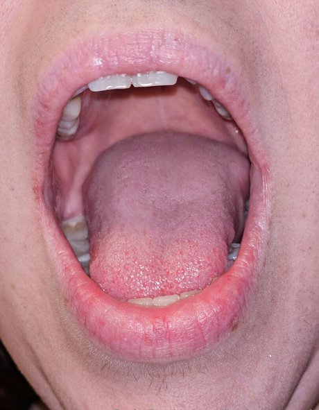 jackdaspeck art actress photo