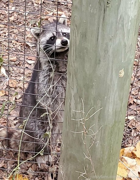 sonjahaze pretty pornstar pics