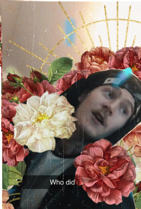 LucidLamb star xxx photos