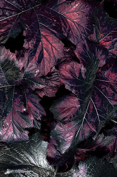 Marci June star best galleries